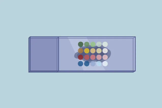 Visium Slide