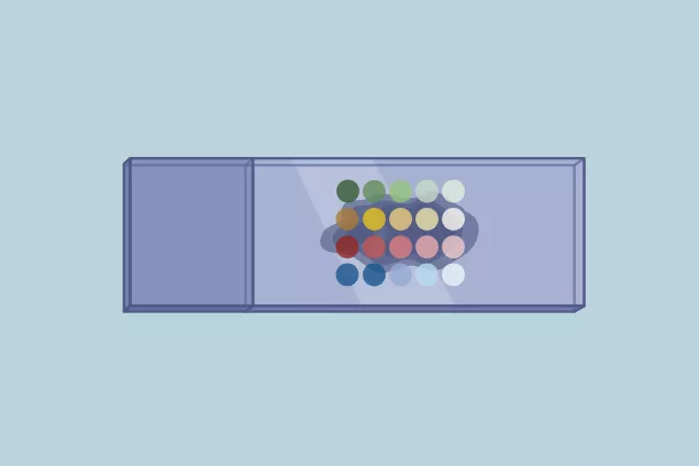 Visium Slide